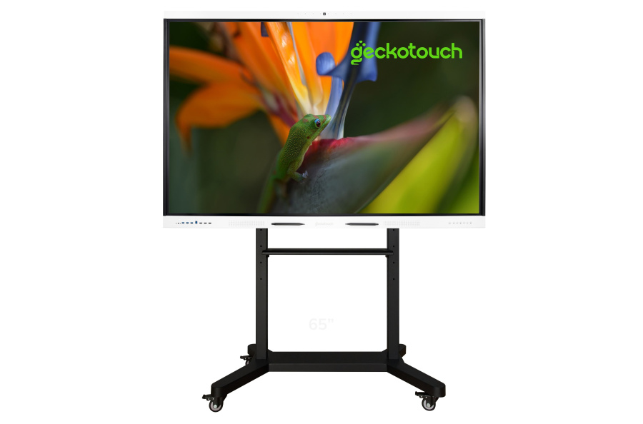 Интерактивный программно-аппаратный комплекс Geckotouch Interactive 65SL